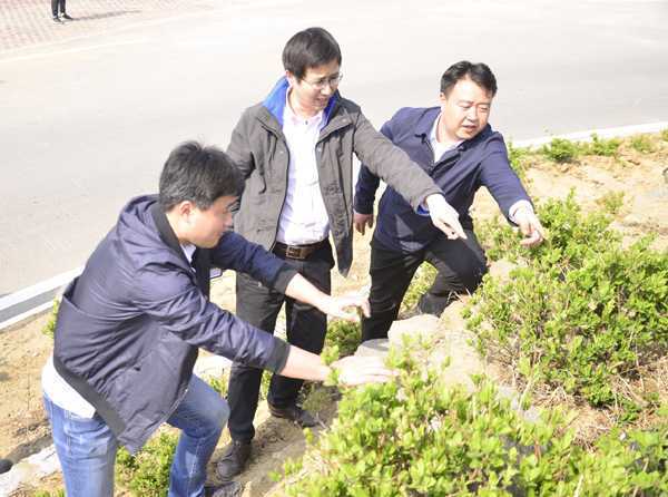 将科研成果撒播在沂蒙大地(图1) 将科研成果撒播在沂蒙大地(图1)