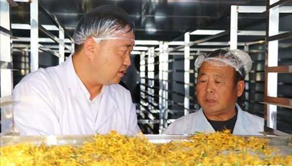 将科研成果撒播在沂蒙大地(图2) 将科研成果撒播在沂蒙大地(图2)