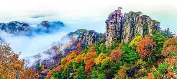 将科研成果撒播在沂蒙大地(图4) 将科研成果撒播在沂蒙大地(图4)