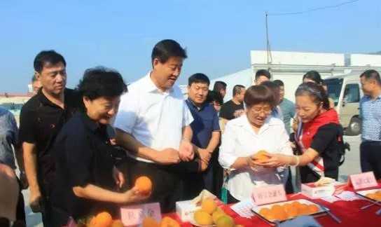 黄桃普品无人问津 康发新品质优价高(图2) 黄桃普品无人问津 康发新品质优价高(图2)