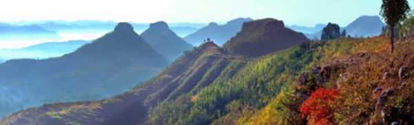 在乡村振兴的道路上(图2) 在乡村振兴的道路上(图2)