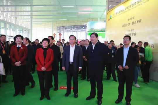 2019第七届中国(郯城)银杏节开幕(图2) 2019第七届中国(郯城)银杏节开幕(图2)