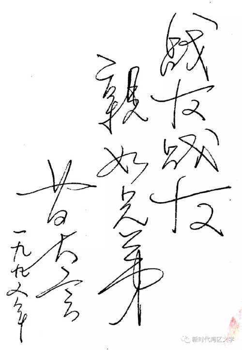 用明亮的眼睛看世界……(图4) 用明亮的眼睛看世界……(图4)
