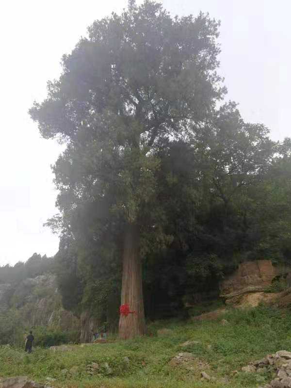 山清水秀醉彭泉 沂蒙古村东大湾(图3) 山清水秀醉彭泉 沂蒙古村东大湾(图3)