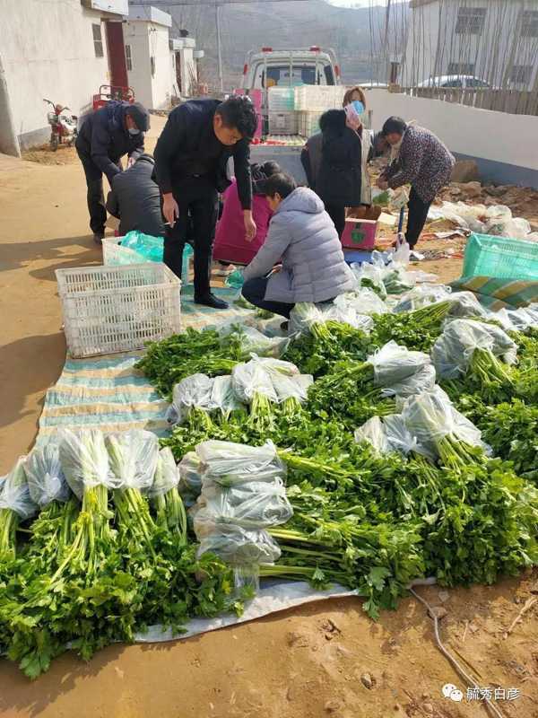山东白彦:疫情下,别样的元宵节(图2) 山东白彦:疫情下,别样的元宵节(图2)
