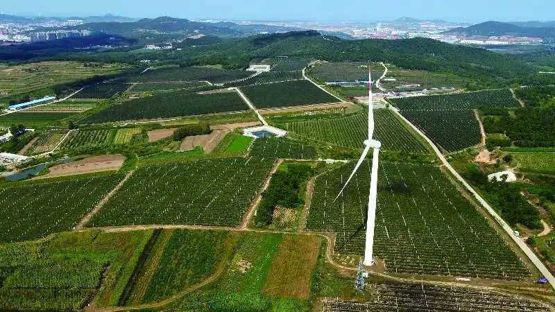 威海市临港区坚持“三个聚焦” 决战脱贫攻坚(图7) 威海市临港区坚持“三个聚焦” 决战脱贫攻坚(图7)