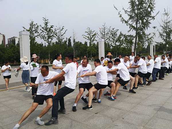 美丽平邑 我们是行动者(图3) 美丽平邑 我们是行动者(图3)