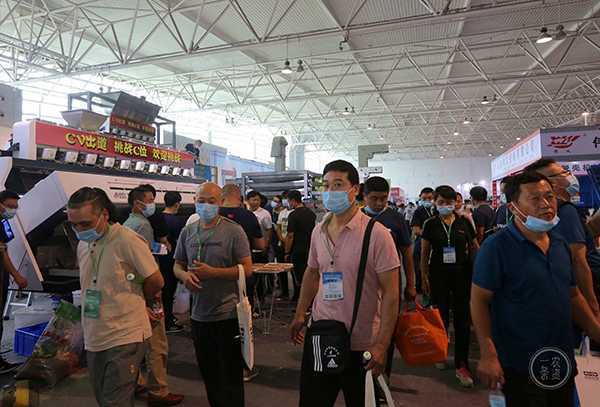 第八届花生、葵花精英博览会在临沂成功举办(图4) 第八届花生、葵花精英博览会在临沂成功举办(图4)