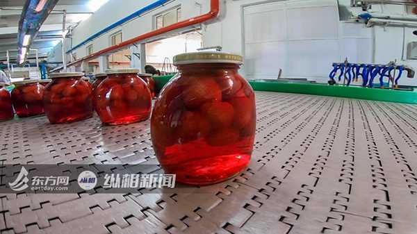 一家农村小作坊逆袭中国罐头十强企业奋斗史(图3)