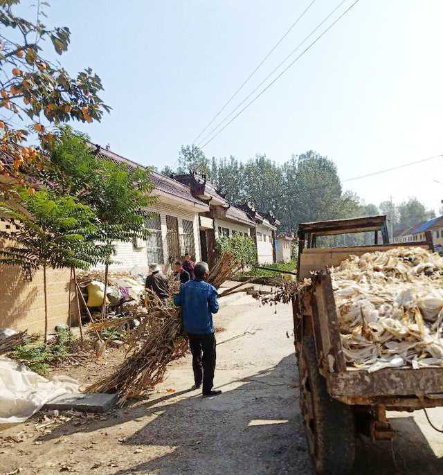 平邑街道：人居环境整治 我们一直在行动