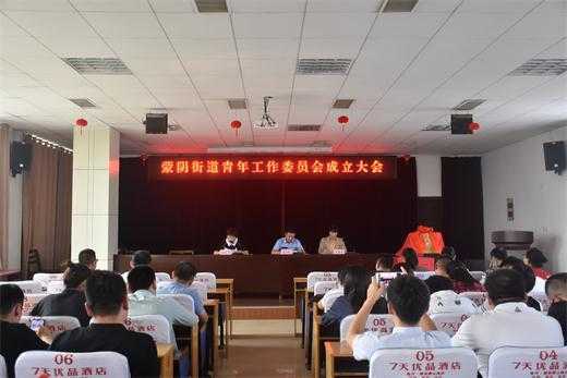 蒙阴团县委举行各乡镇街道青年工作委员会会议(图1) 蒙阴团县委举行各乡镇街道青年工作委员会会议(图1)