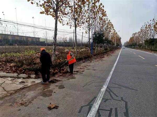 持续发力推进人居环境整治(图1) 持续发力推进人居环境整治(图1)