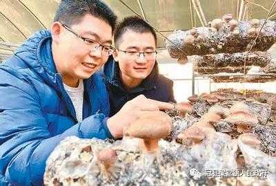 冠县梁堂镇花香菇登上人民日报(图1)