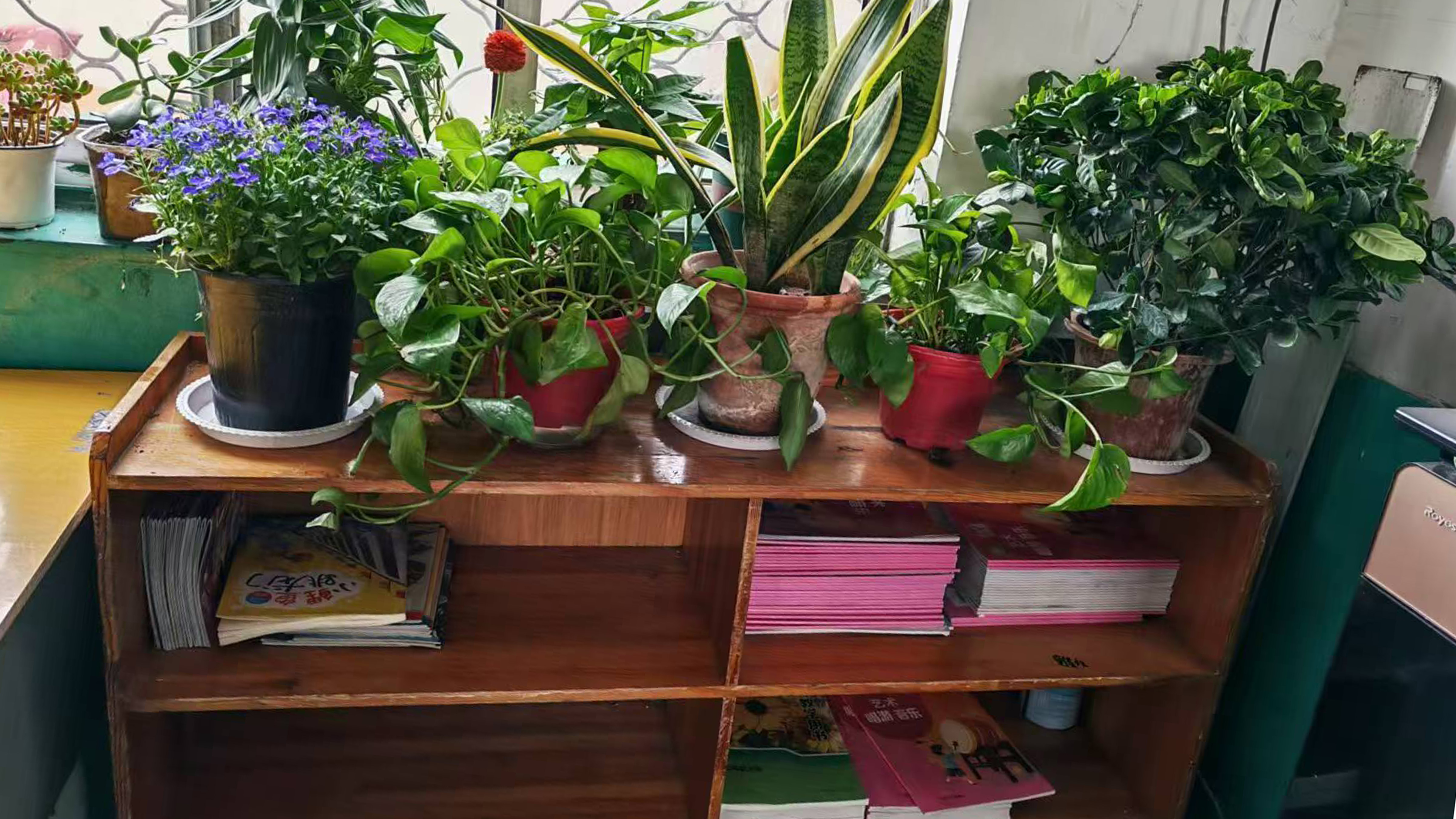 【山东平邑】实验小学文化路校区开展教室内务整理评比活动