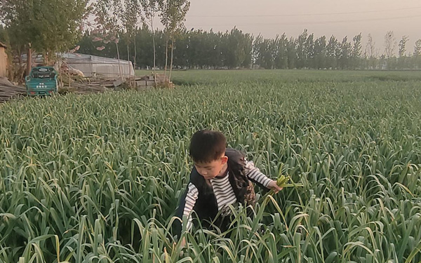 【山东平邑】实验小学“复盘”孩子的春假实践