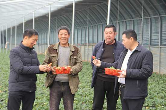 草莓熟了的时候(图2)