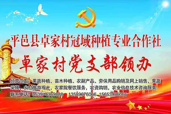 卓家村的蝶变新生(图8) 卓家村的蝶变新生(图8)