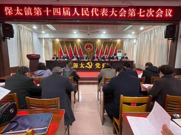 保太镇第十四届人民代表大会第七次会议召开(图1)
