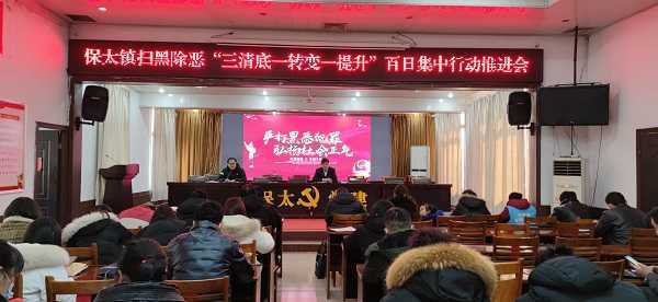 扫黑除恶百日集中行动推进会召开(图1)