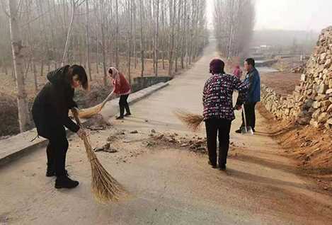 高庄镇全民参与环境整治迎新年(图2)