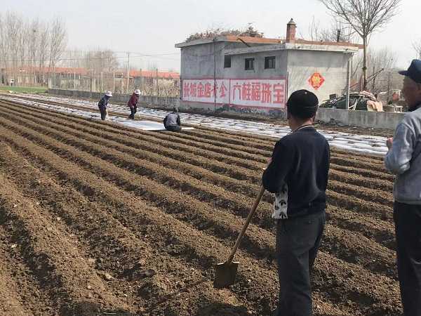 人勤春来早 田间农事忙(图2) 人勤春来早 田间农事忙(图2)