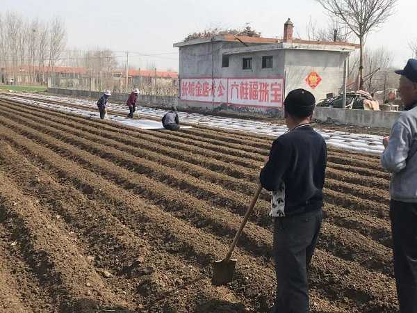 人勤春来早 田间农事忙(图2)