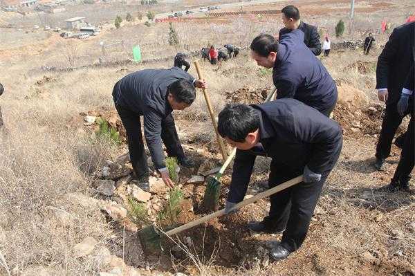 春风添绿意 植树正当时(图1)