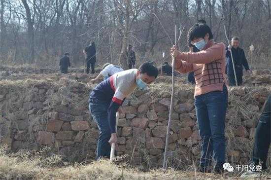 为美丽香山增红添绿(图3)