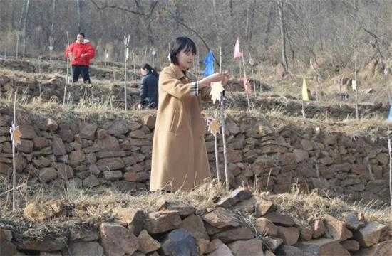 为美丽香山增红添绿(图4)