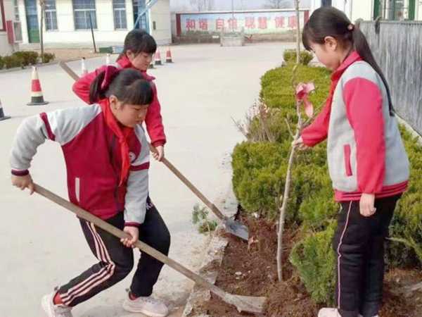 利渊完小植树节营造良好校园环境(图2)