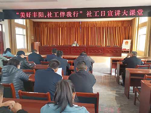 丰阳镇开展“美好丰阳社工伴我行”活动(图1)