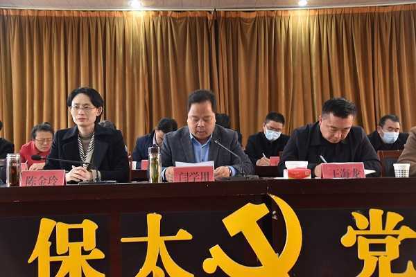 保太镇召开村“两委”换届选举工作动员部署会(图2)