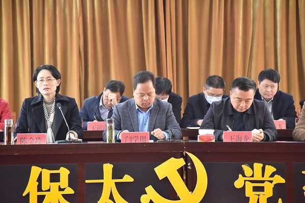 保太镇召开村“两委”换届选举工作动员部署会(图3)
