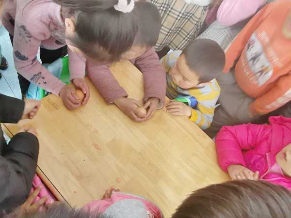 顺河幼儿园开展春分日活动(图1)
