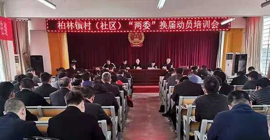 柏林镇召开村（社区）“两委”换届动员培训会(图1)