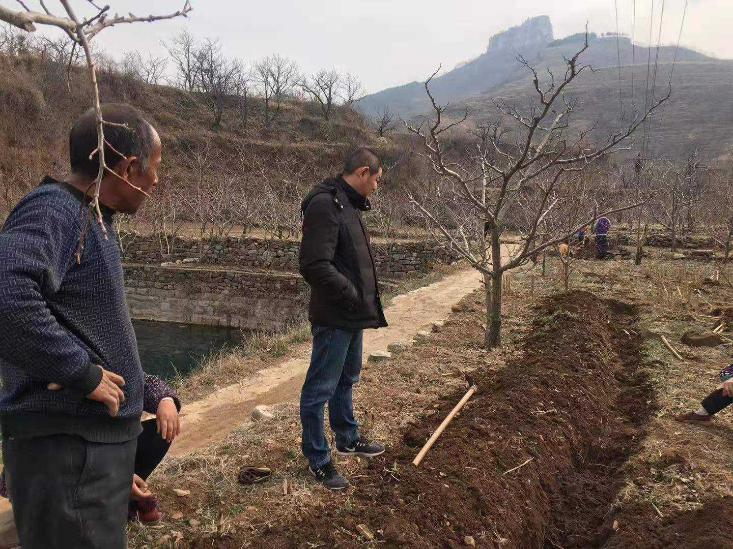 照亮群众幸福路 点亮乡村振兴梦(图1)