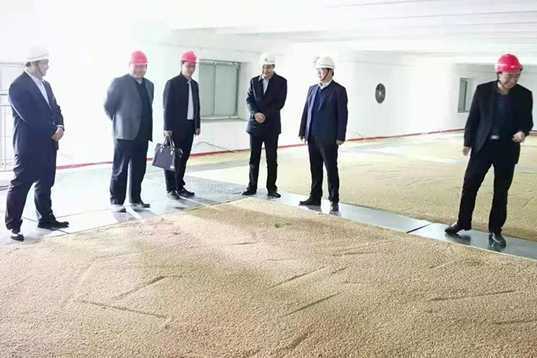 临沂市粮食和物资储备局局长范宝杰到平邑调研(图3) 临沂市粮食和物资储备局局长范宝杰到平邑调研(图3)