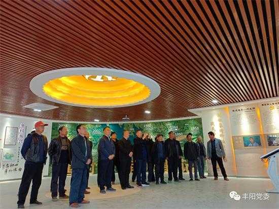 丰阳镇扎实开展4月份主题党日活动(图1)