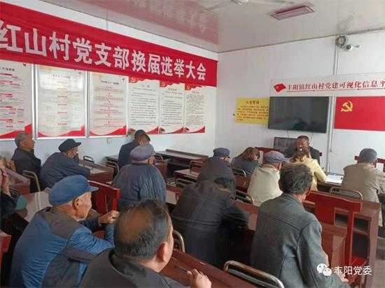 丰阳镇扎实开展4月份主题党日活动(图2)