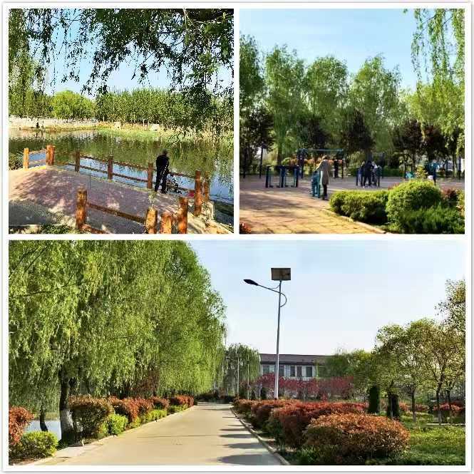 巡查治理增底色,美丽乡村展新颜(图1) 巡查治理增底色,美丽乡村展新颜(图1)
