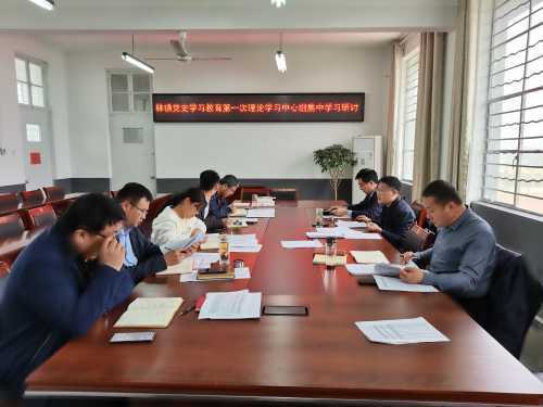 柏林镇召开党史学习教育第一次专题学习研讨会(图1) 柏林镇召开党史学习教育第一次专题学习研讨会(图1)