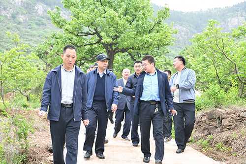 市派平邑县干部下基层临时党总支工作例会召开(图2)