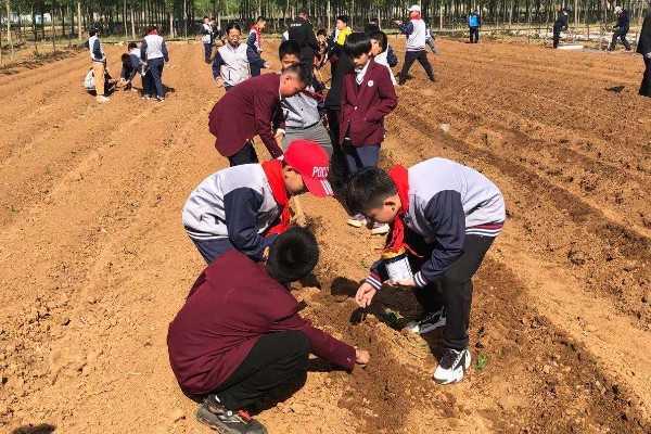 播种花生 播撒希望(图3) 播种花生 播撒希望(图3)