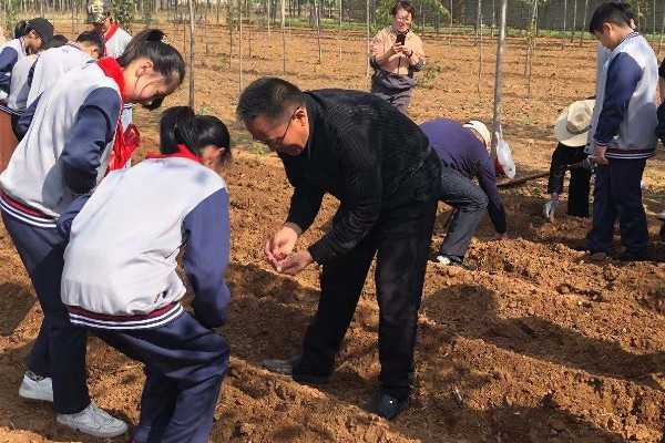 播种花生 播撒希望(图2) 播种花生 播撒希望(图2)