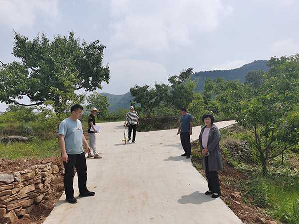 铜石乡村振兴服务队部分帮扶工程完成验收(图1)