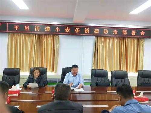 平邑街道全力做好小麦条锈病防治工作(图1)