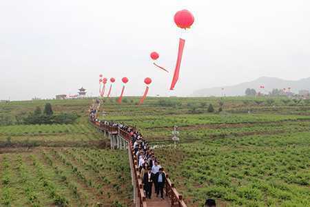 第12届中国金银花产业发展峰会在山东平邑举办(图10)