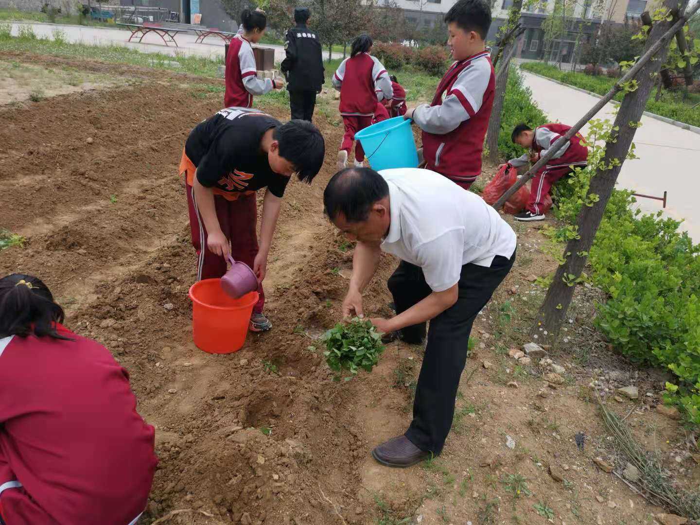 柏林镇三关庙小学飞扬中队劳动实践活动(图1)