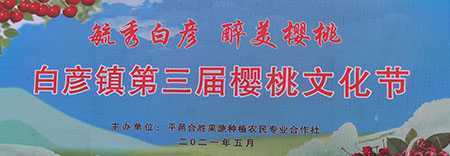 白彦镇第三届樱桃文化节盛大开幕(图1)