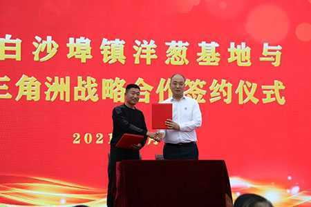 中国临沂第四届洋葱文化节开幕(图5) 中国临沂第四届洋葱文化节开幕(图5)